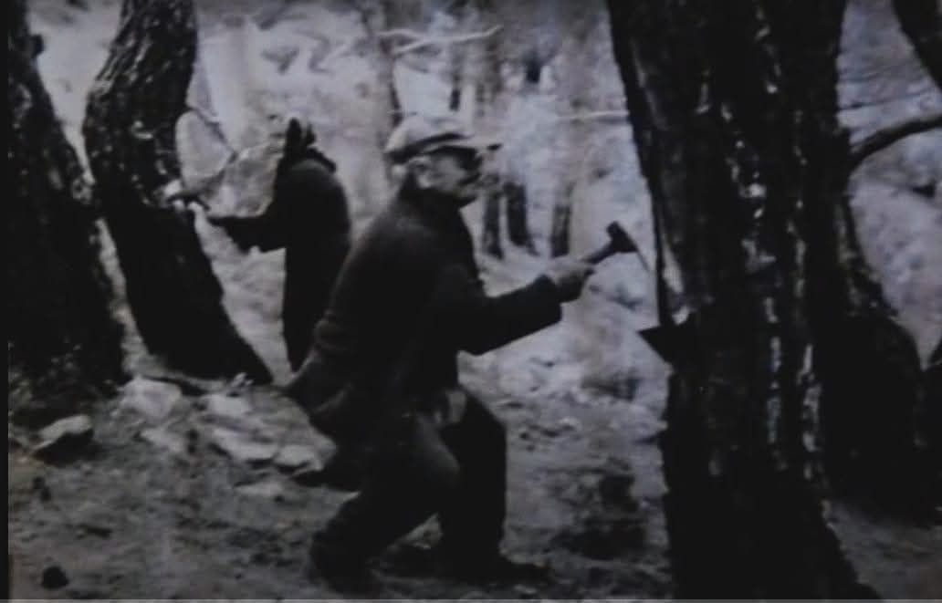 Ρετσινάδες